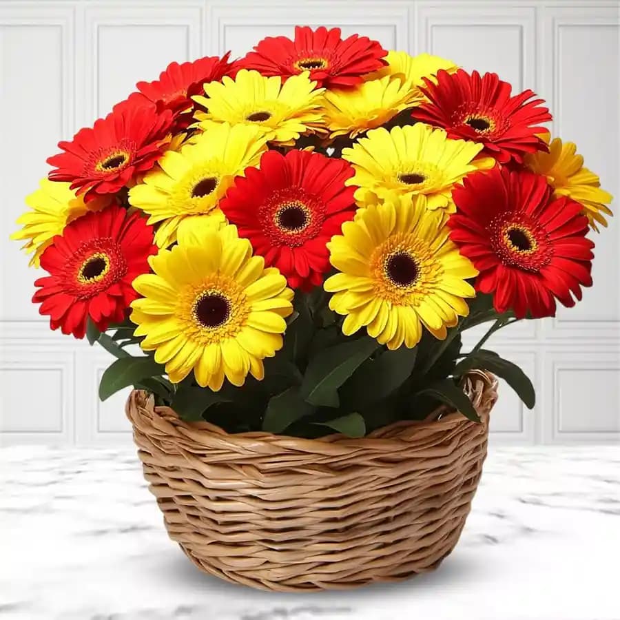 Pretty Arrangement of Red N Yellow Gerberas