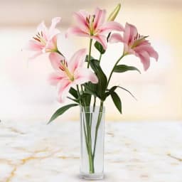 Attractive display of Pink Lilies in Glass Vase 1