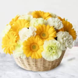 Glamorous Basket of Gerberas N Carnations 1