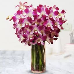 Amazing Orchids in Glass Vase 1