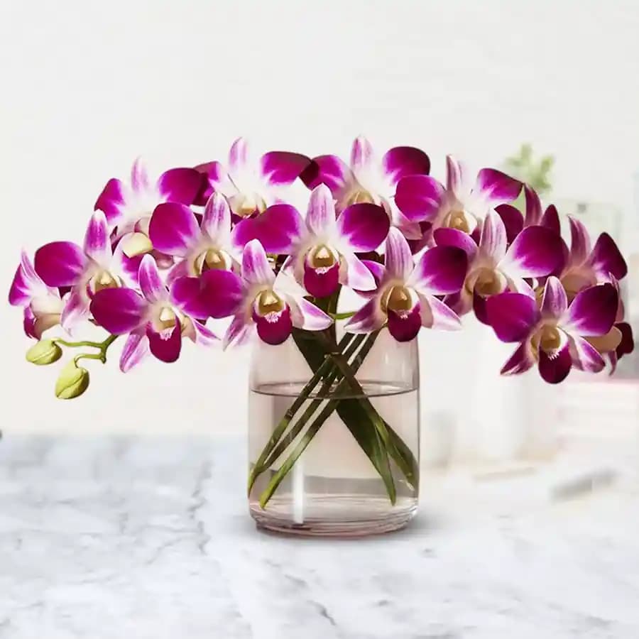 Glamorous Orchids in Glass Vase