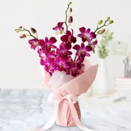 Captivating Bunch of Orchids 1