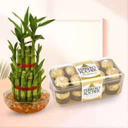 Bamboo Charm & Chocolate Delight Duo 1