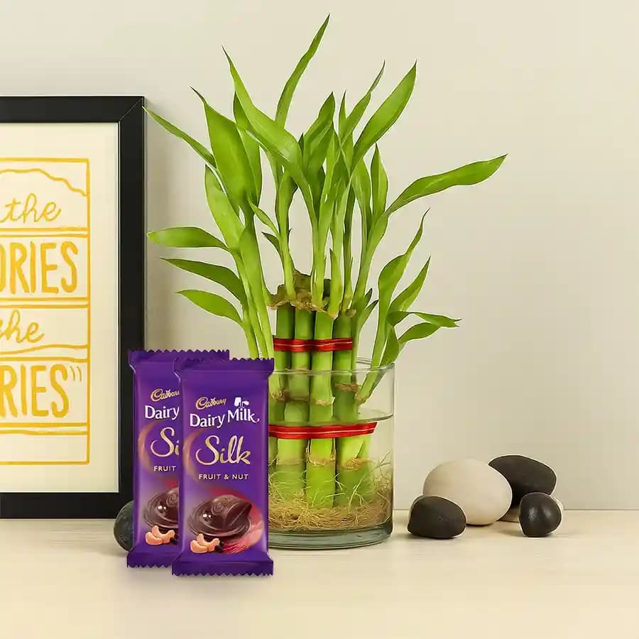 Charming Bamboo Bliss & Chocolate Treat