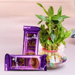 Good Luck 2 Tier Bamboo Plant with Cadbury Dairy Milk Silk 1