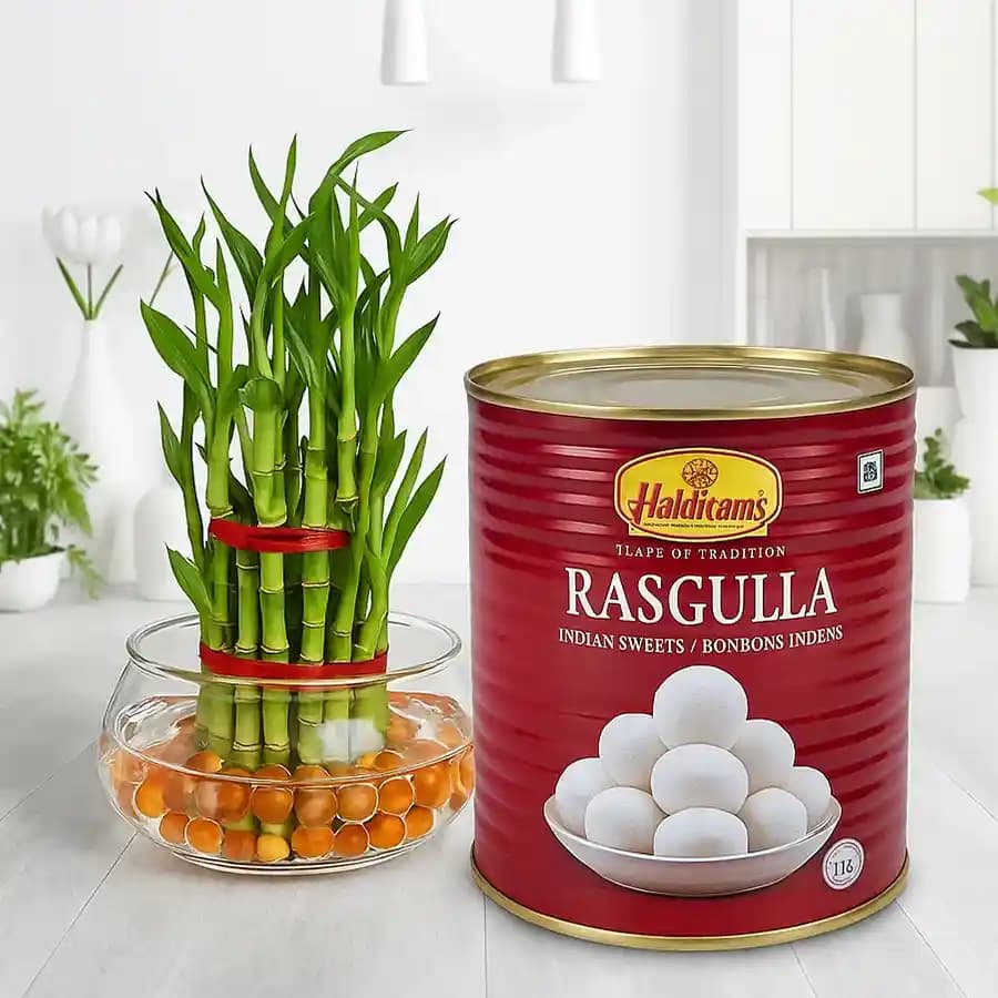 Bamboo Bliss with Sweet Treats