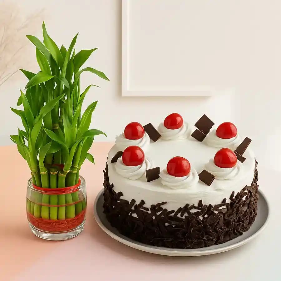 Zen Bamboo Delight with Exquisite Cake