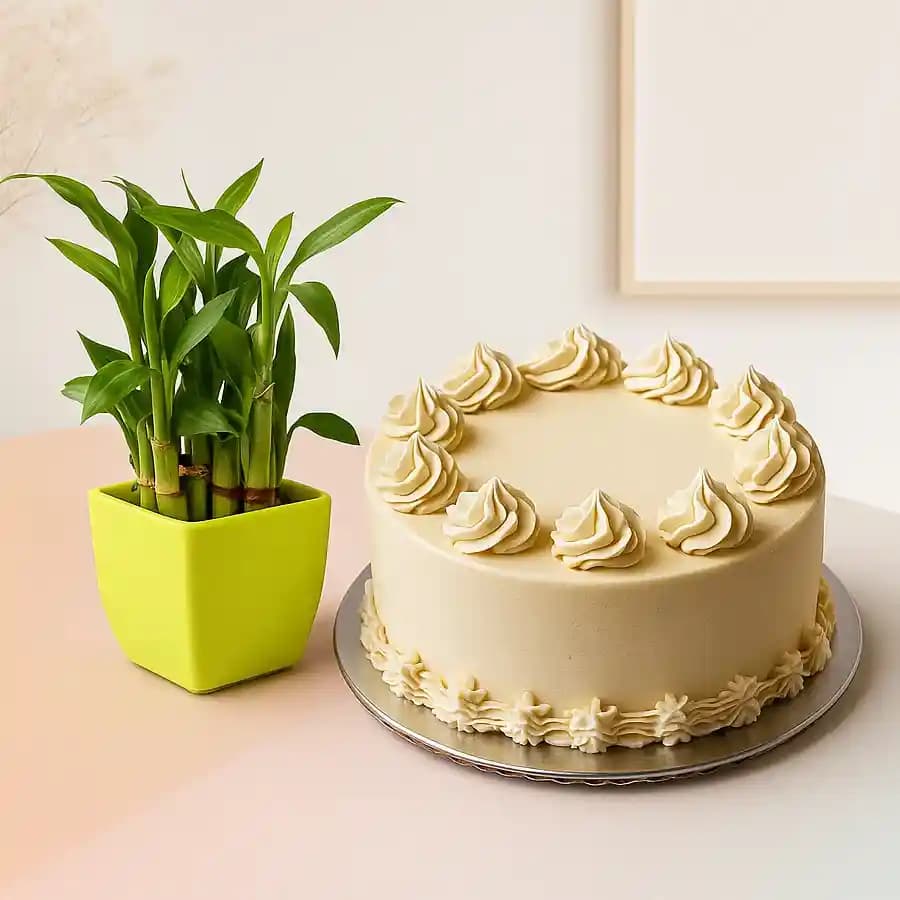 Bamboo Bliss & Vanilla Cake Surprise