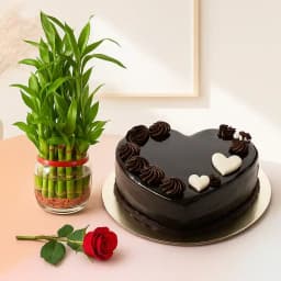 Joyful Harmony Gift Set 1