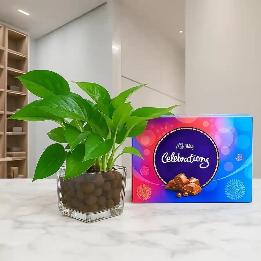 Nature's Delight Gift Set