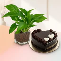 Charming Greenery & Sweet Treats Gift Set 1