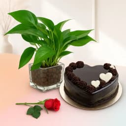 Charming Floral & Sweet Delight Gift Set 1