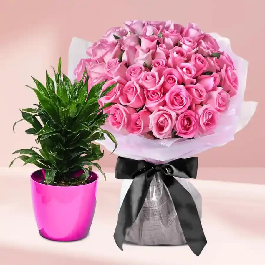 Graceful Dracaena and Blushing Rose Bouquet