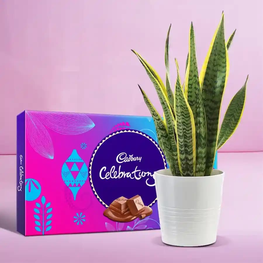 Tranquil Greenery and Sweet Indulgence