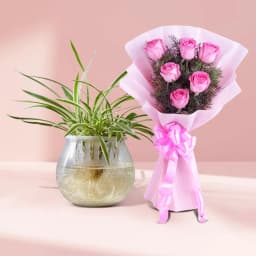 Radiant Pink Blossoms with Lively Spider Plant 1