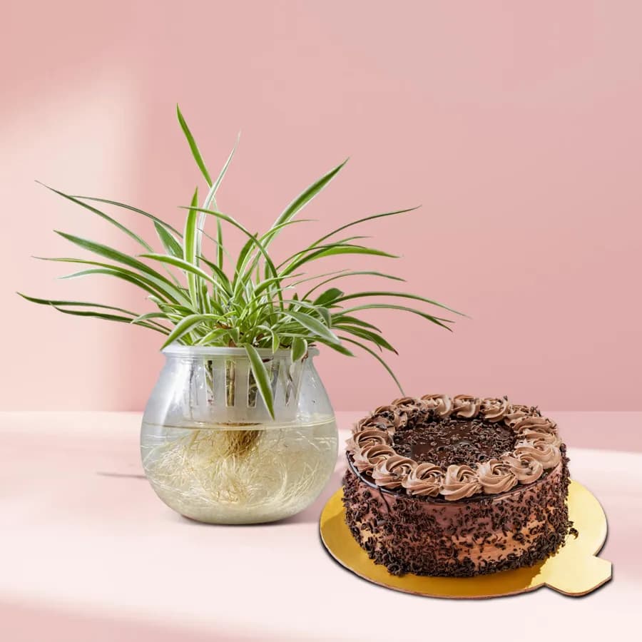 Lush Greenery & Decadent Delight