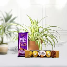 Green Serenity Gift Set 1