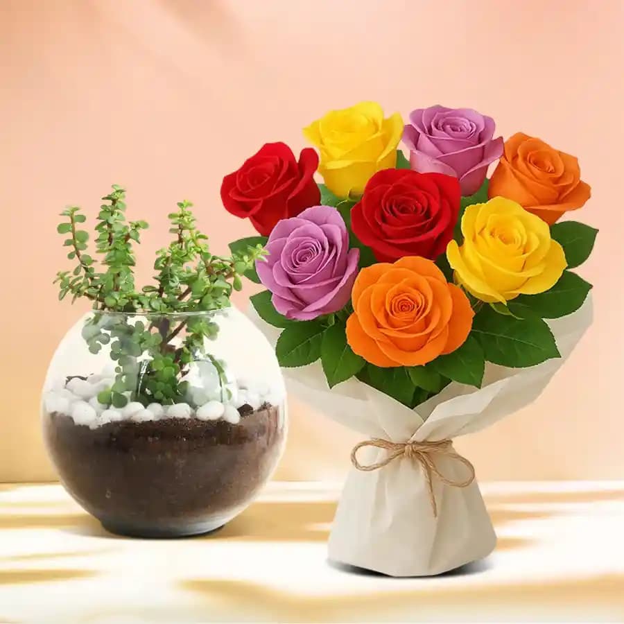 Lush Jade Plant with Radiant Roses Arrangement