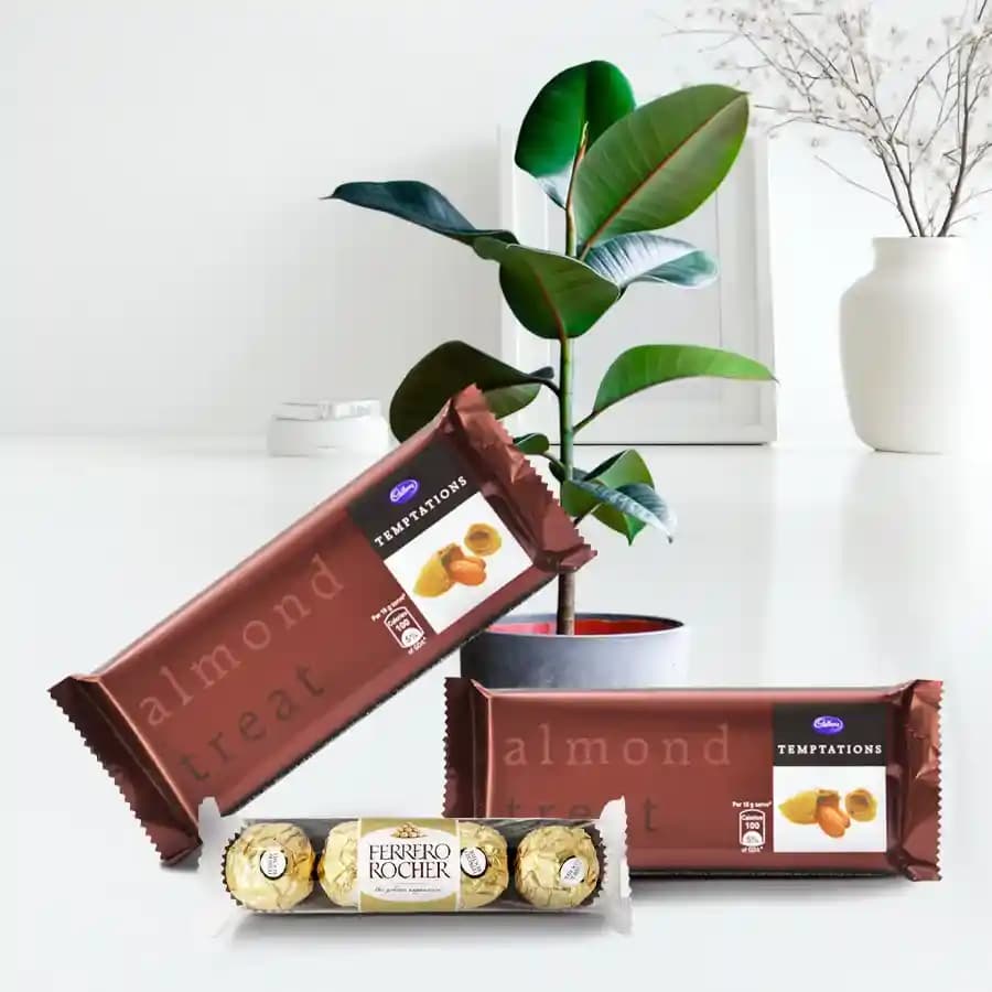 Lush Life: Green Delight with Decadent Treats