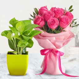 Evergreen Air Purifying Syngonium Plant with Rose Bouquet 1