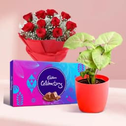 Enchanting Green Serenity & Floral Indulgence 1