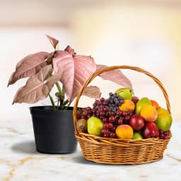 Vibrant Fruit & Greenery Gift Set 1