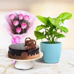 Radiant Syngonium & Decadent Cake Surprise 1