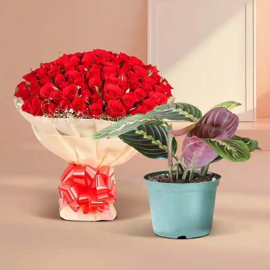 Heartfelt Harmony: Maranta & Crimson Blooms