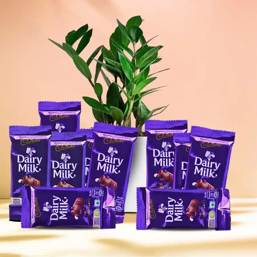 Charming Green & Sweet Indulgence Set