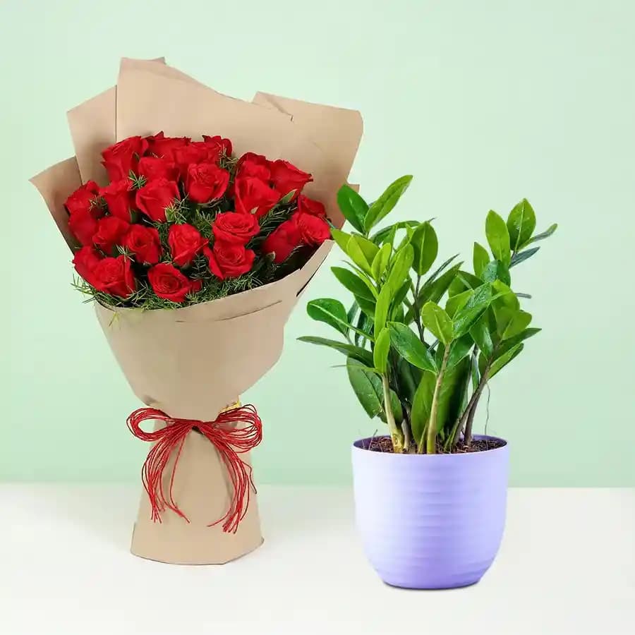 Charming Zamia with Classic Rose Bouquet