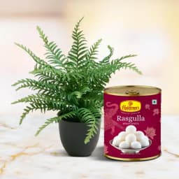 Greenery & Sweetness Harmony 1