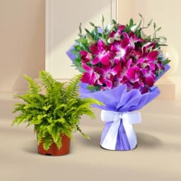 Exquisite Fern and Orchid Delight 1