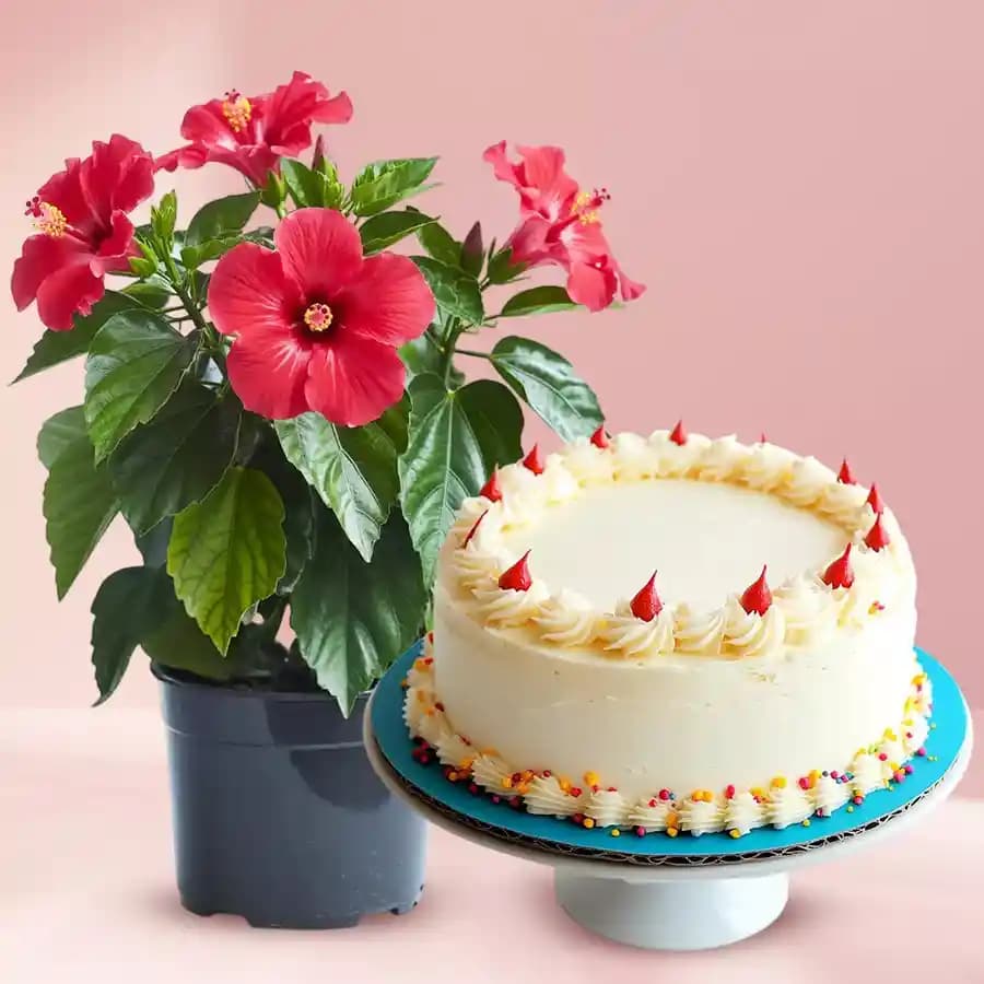 Tropical Bliss Delight