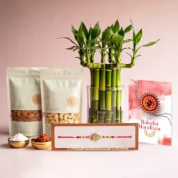 Raksha Bandhan Delight: Gift Set with Dry Fruits 1