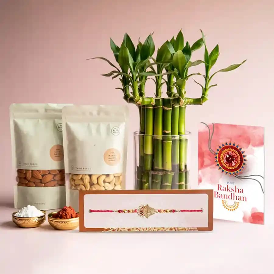Raksha Bandhan Delight: Gift Set with Dry Fruits