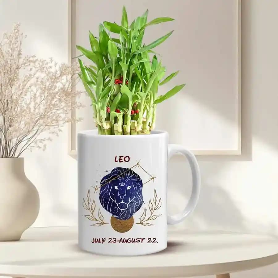 Breathtaking Gift of Lucky Bamboo in Sun sign Mug