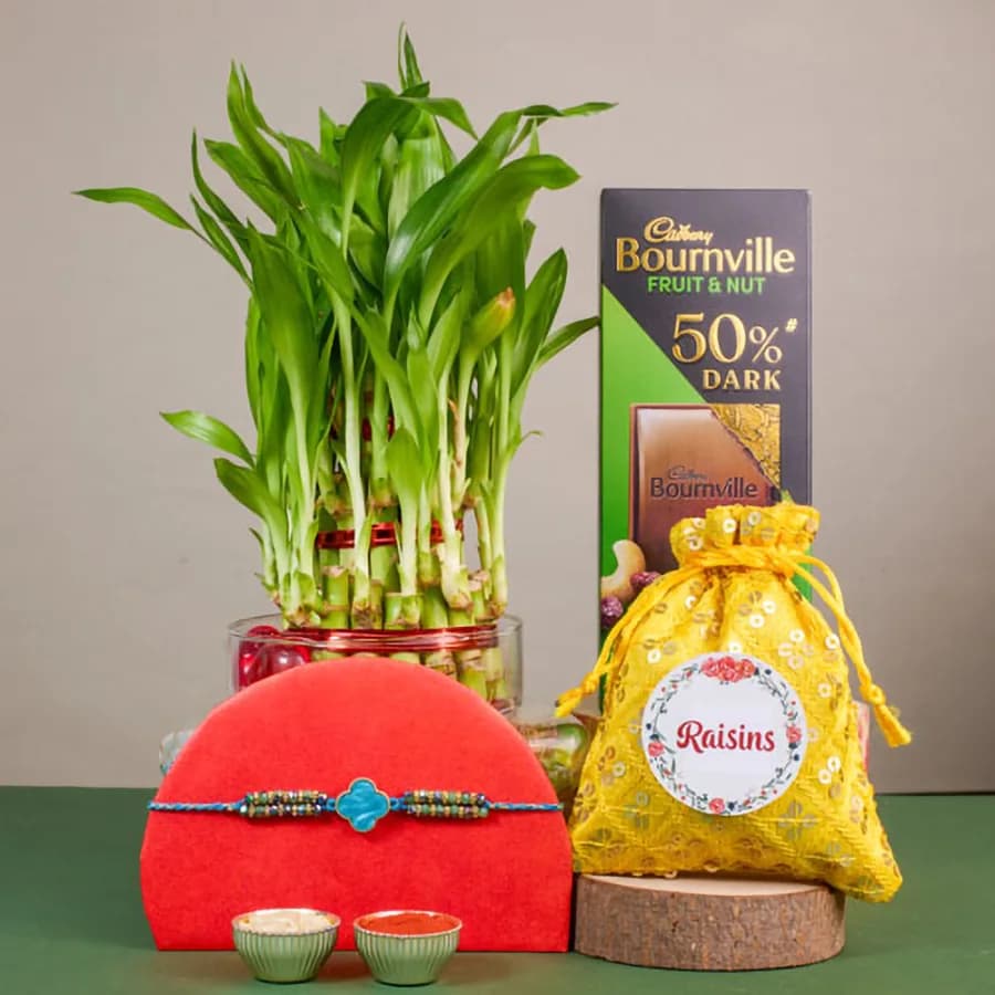 Elegant Bamboo and Chocolate Celebration