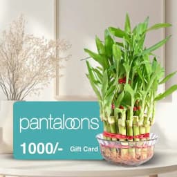 Lucky Bamboo Plant and Pantaloons E Voucher 1