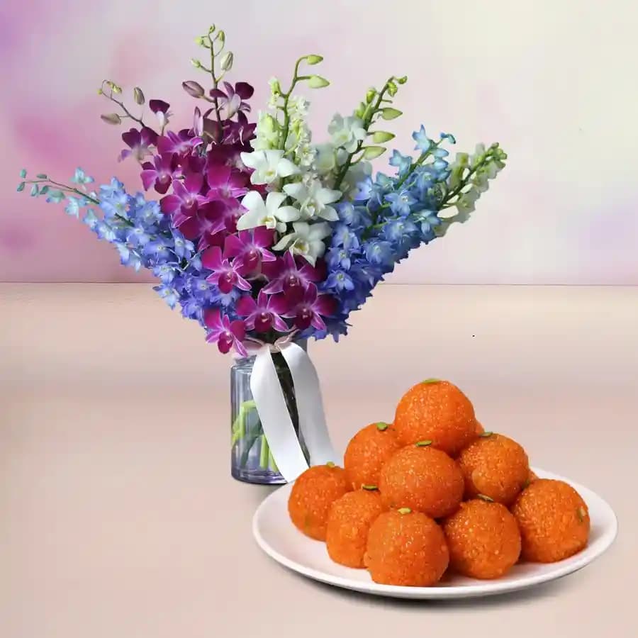 Orchid Elegance N Laddus Treat
