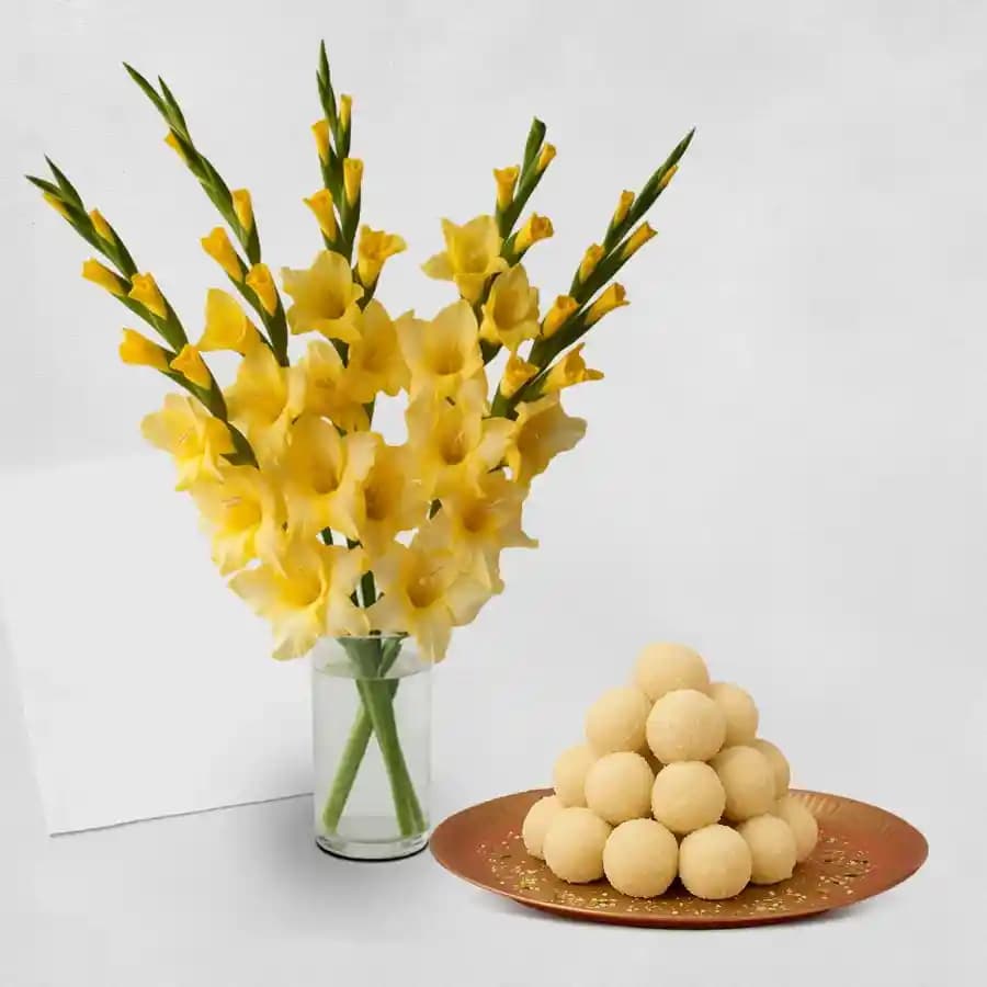 Yellow Gladiolus N Kheer Kadam Bliss
