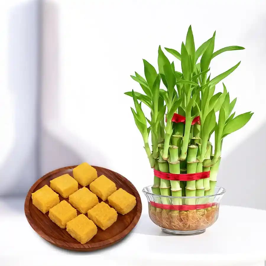 Mango Malai Barfi from Karachi Sweet Mart with 3 Tier Lucky Bamboo Plant