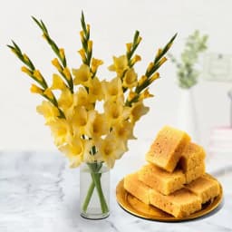 Gladiolus N Mysurpa Delight 1