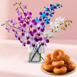 Exquisite Orchids N Badusha Indulgence 1