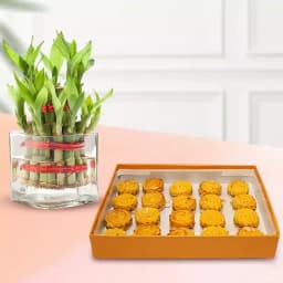 Baked Badam Jalebi from Ganguram with Lucky Bamboo Plant 1