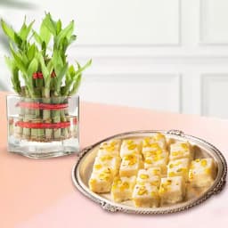 Malai Barfi from Karachi Sweet Mart with 3 Tier Lucky Bamboo Plant 1