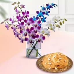 Orchid Splendor N Pheni Pleasure 1