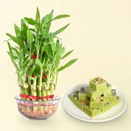 Pista Barfi from Karachi Sweet Mart with 3 Tier Lucky Bamboo Plant 1