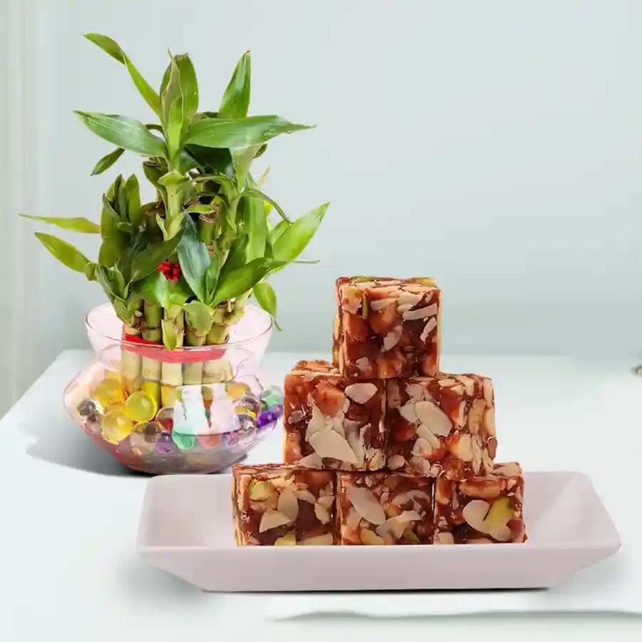 Dry Fruits Barfi from Mithas Delicious Sweets with 3 Tier Lucky Bamboo Plant