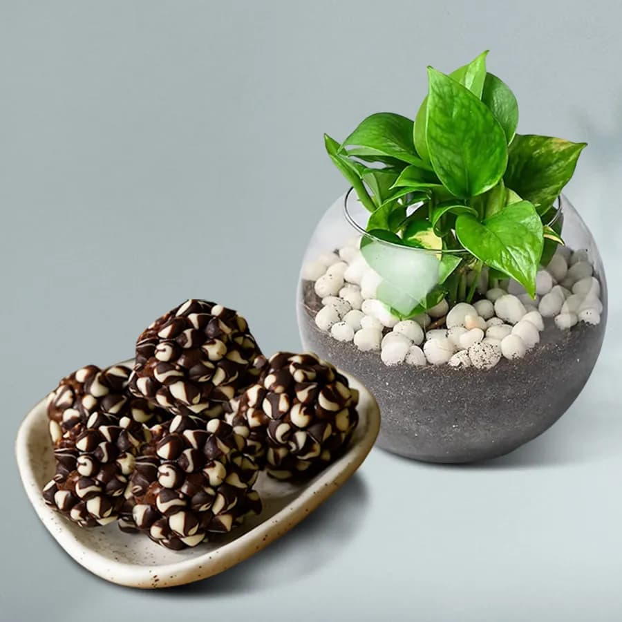 Nuts & Green Serenity Gift Set