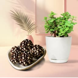 Sweet Serenity Gift Set 1